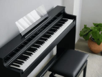 Цифровое пианино Casio Celviano AP-S450 BK - чёрный