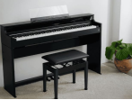 Цифровое пианино Casio Celviano AP-S450 BK - чёрный