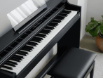 Цифровое пианино Casio Celviano AP-S450 BK - чёрный