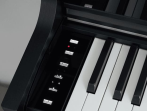 Цифровое пианино Casio Celviano AP-S450 BK - чёрный