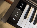 Цифровое пианино Casio Celviano AP-S450 BN - коричневый