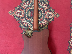 Классическая гитара Ibanez FRH10N-RGF