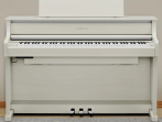 Цифровое пианино Yamaha CLP-875 WB