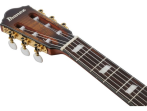 Классическая гитара Ibanez FRH20SMN-TCL