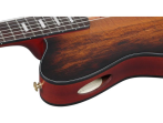 Классическая гитара Ibanez FRH20SMN-TCL