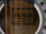 Акустическая гитара Belucci BC3810 WH