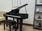 Цифровой рояль Roland GP-3 PE