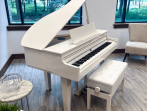 Цифровой рояль Roland GP-6 WH