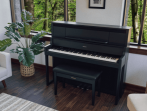 Цифровое пианино Roland LX-9 CH - чёрный уголь