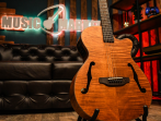 Электроакустика ARIA FET-F2 STBR