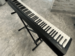 Цифровое пианино Roland FP-10-BK