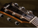 Электроакустическая гитара Taylor 210ce