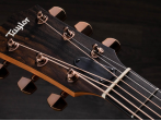 Электрокустическая гитара Taylor 214CE Deluxe