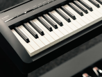 Цифровое пианино Kawai ES120 B (черное)