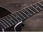 Электроакустическая гитара Taylor 224ce DLX deluxe LTD, Trans Grey
