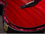 Электроакустическая гитара Taylor 224ce DLX deluxe LTD, Trans Red