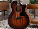 Электроакустическая гитара Taylor 324Ce V-Class Edgeburst