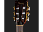 Классическая гитара Ibanez GA5TCE-AM