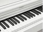 Цифровое пианино Yamaha YDP-145 WH Arius
