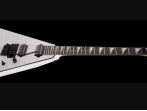 Электрогитара Jackson Pro Series Rhoads RR24 Winterstorm