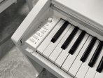 Цифровое пианино Casio px-770 we (bundle)