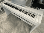 Цифровое пианино Casio px-770 we (bundle)