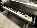 Цифровое пианино Kawai KDP120 R (bundle)