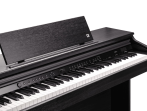Цифровое пианино Kurzweil CUP E1 SR