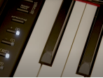 Цифровое пианино Yamaha Clavinova (Общее) 179990