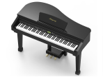 Цифровой рояль Ringway GDP-1120 GB