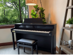 Цифровое пианино Casio Celviano AP-750 BK