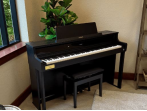 Цифровое пианино Casio Celviano AP-750 BK