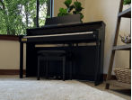 Цифровое пианино Casio Celviano AP-750 BK