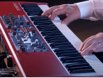 Цифровое пианино Clavia Nord Electro 6D 61