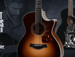 Акустическая гитара Taylor 314c The Last of Us