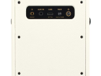 Комбоусилитель гитарный Positive Grid Spark Mini PW