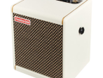 Комбоусилитель гитарный Positive Grid Spark Mini PW