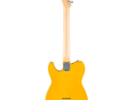 Электрогитара Fender Standard Tele MN BPG BTB