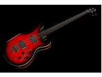 Бас-гитара Warwick Artist Line Sklar I Burgundy