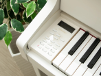 Цифровое пианино Casio Celviano Grand Hybrid GP310 | GP-310 WE