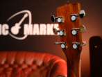 Акустическая гитара Cort AD880-NS Standard Series