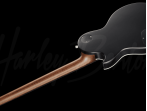Электрогитара Harley Benton Agufish Standard STD BT BK