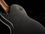 Электрогитара Harley Benton Agufish Standard STD BT BK