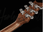 Электрогитара Harley Benton Agufish Standard STD BT BK