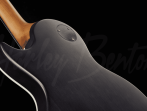 Электрогитара Harley Benton Agufish Custom Signature BT PB