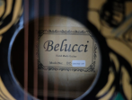 Акустическая гитара Belucci BC3840 1347 (Lone)