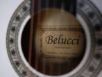 Акустическая гитара Belucci BC3820 WH