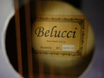 Акустическая гитара Belucci BC3840 1351 (Wolf)