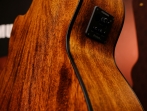 Бас-гитара Cort Acoustic Bass Series SJB5F-NS
