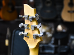 Электрогитара SCHECTER C-6 PLUS CB